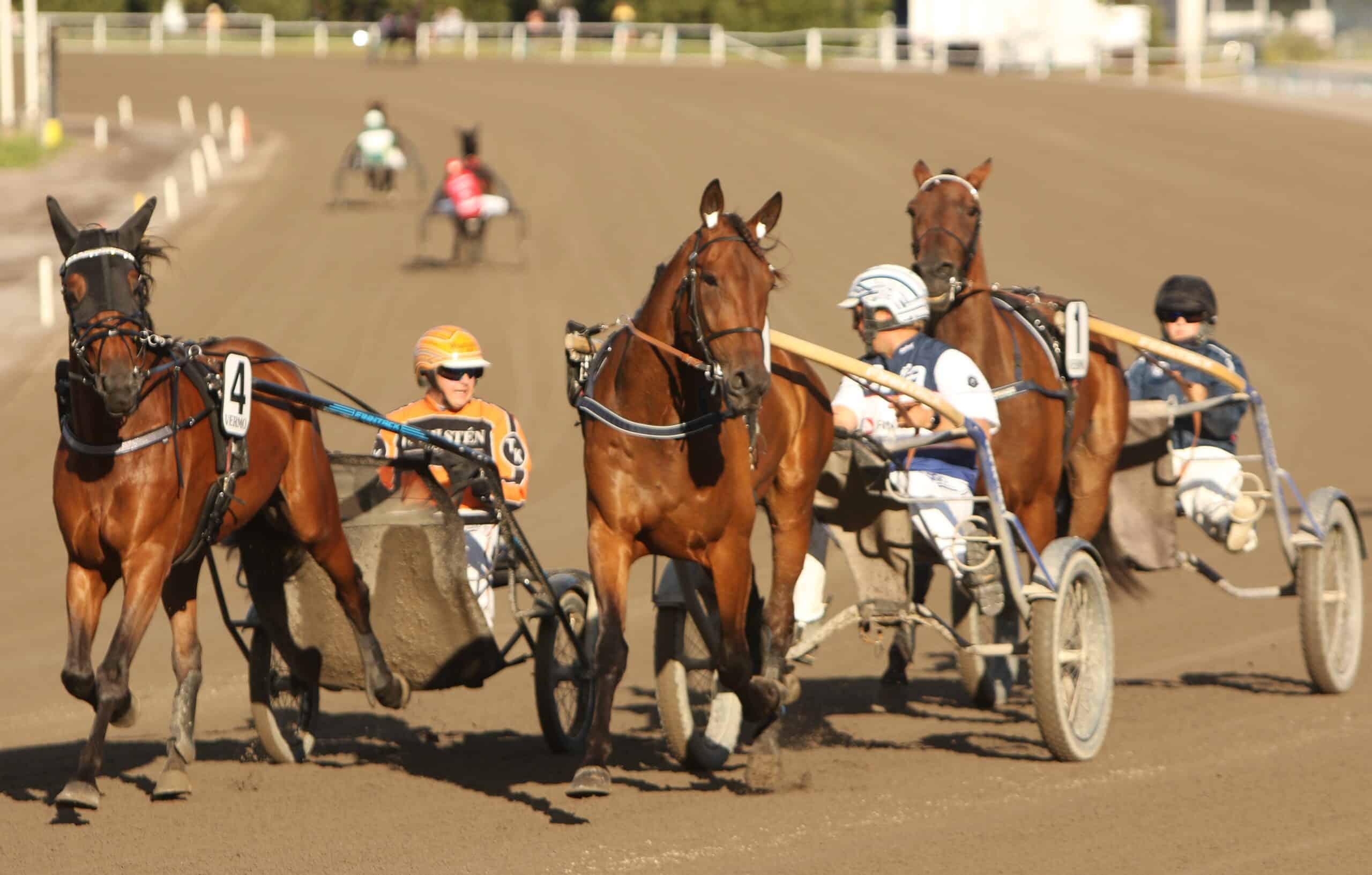 Trondheim maailmancup 2025