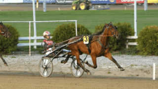 Ravit