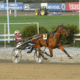 Ravit