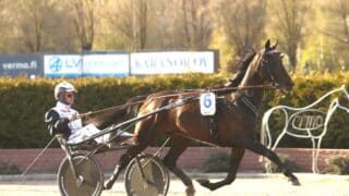 Kurri Jari Boko