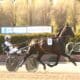Kurri Jari Boko
