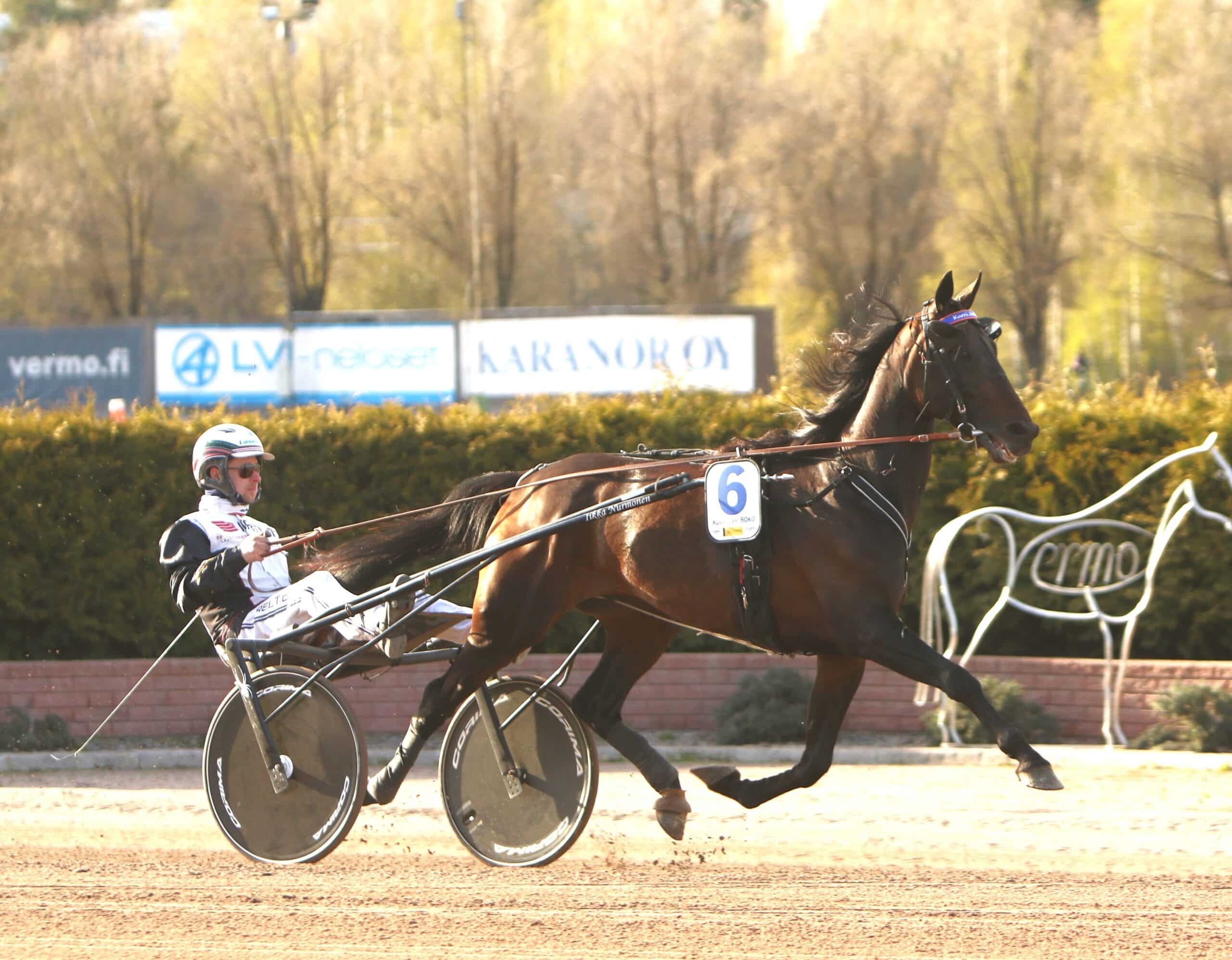 Kurri Jari Boko