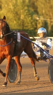 Jarmo Kekäläinen kuvattuna Columbus Blue Jacketsin GM:n ominaisuudessa.