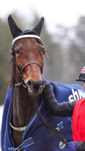 XXIIHFXX  KANATA, ONTARIO - DECEMBER 27: Finland's Petteri Rimpinen #30 celebrates with Arttu Tuhkala #35 after a 3-0 Preliminary Round - Group A win against Germany at 2025 IIHF World Junior Championship at Canadian Tire Centre on December 27, 2024 in Kanata, Ontario, Canada. (Photo by AndrŽ Ringuette/IIHF)