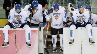 Leijonat Torino 2006