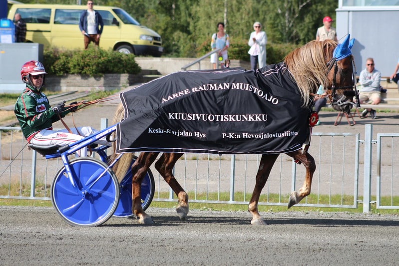 Parvelan Retu Hannu Torvinen