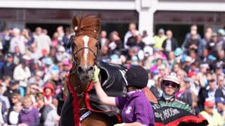 Virin Camilla Hannu Torvinen