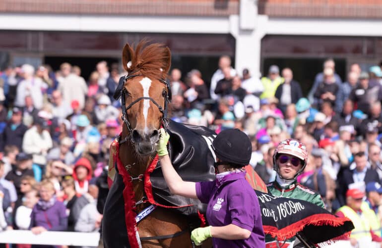 Virin Camilla Hannu Torvinen