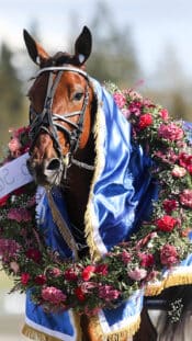 Rauman Lukko Tomi Lämsä (oik.) Jarkko Kauvosaari