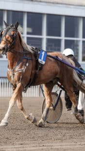 Young couple with rackets play squash game in indoor training club. Active sport lifestyle. Recreation workout, match with racquet