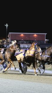 epa09715943 View of the Olympic rings next to the mogul course during the preparations of the Beijing 2022 Winter Olympics, in Zhangjakou, China, 29 January, 2022.  EPA-EFE/Guillaume Horcajuelo