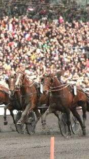 Nov 7, 2025; Minneapolis, Minnesota, USA; Utah Jazz forward Lauri Markkanen (23) looks on against the Minnesota Timberwolves in the first half at Target Center. Mandatory Credit: Jesse Johnson-Imagn Images