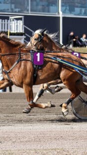 Mikko Rantanen, 2026 Milano