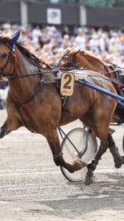 Teemu Suninen ja Janni Hussi Ruotsin MM-rallissa talvella 2026