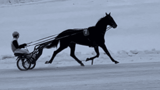 En Candy Till (Iikka Nurmonen)