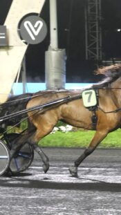Nov 7, 2025; Minneapolis, Minnesota, USA; Utah Jazz forward Lauri Markkanen (23) looks on against the Minnesota Timberwolves in the first half at Target Center. Mandatory Credit: Jesse Johnson-Imagn Images