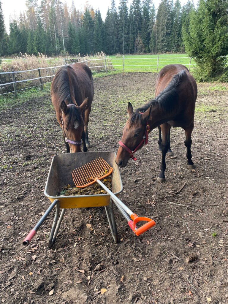 Matilde Match & Dream Big