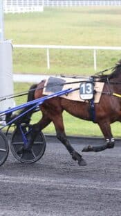 Predazzo, Milano Cortinan olympialaiset