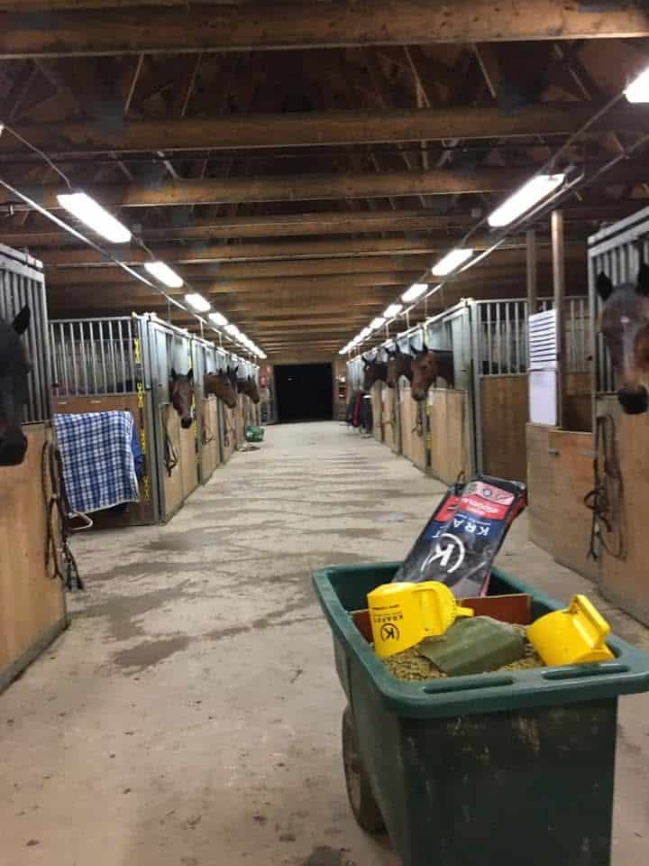 Hanna Lähdekorven talli