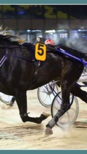 Finland's Miikka Muurinen during FIBA Eurobasket 2025 basketball match for bronze medal between Greece and Finland on Sept. 14, 2025. in Riga, Latvia.
(photo by Pedja Milosavljevic/STARSPORT ©)