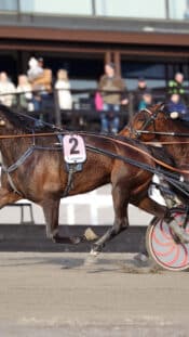 Minja Korhonen ja Ilkka Herola