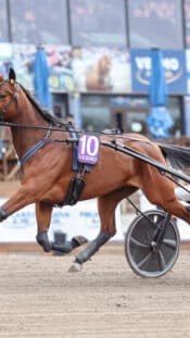 xxkeikkaxx
20251024 Helsinki
Mestis. Jokerit - JoKP. Kuvassa Eteläpääty
Tomi Natri/All Over Press