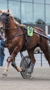 Jan 11, 2025; Salt Lake City, Utah, USA; Utah Hockey Club defenseman Olli Maatta (2) moves the puck against the New York Islanders during first period at the Delta Center. Mandatory Credit: Christopher Creveling-Imagn Images