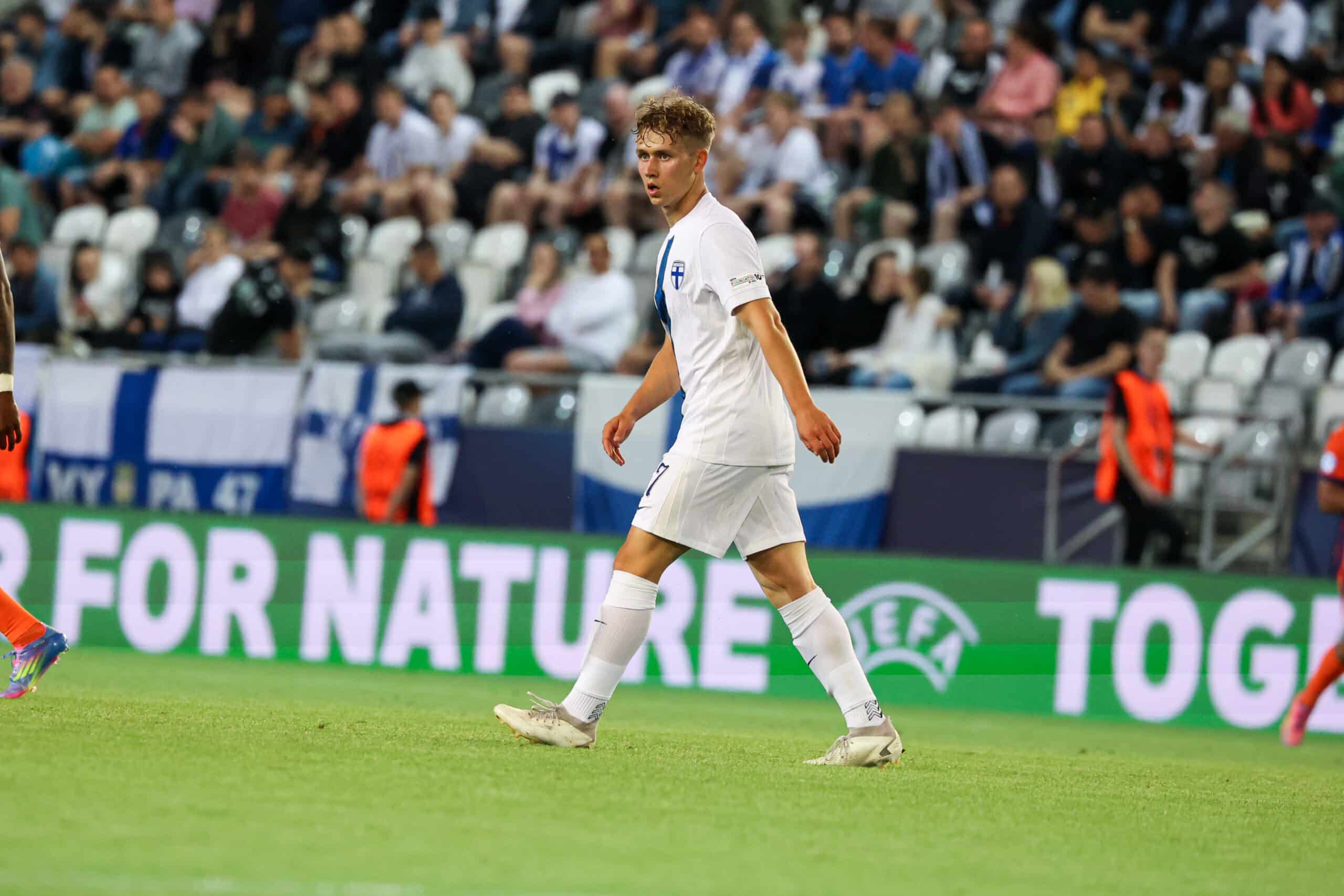 Naatan Skyttä, Suomi