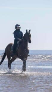 08 Ott TÄNAK, Martin JÄRVEOJA, Hyundai I20 Rally1, action during the 2025 Central European Rally, 12th round of the 2025 WRC World Rally Car Championship, from October 16 to 19, 2025 at Bad Griesbach, Bavaria, Germany
