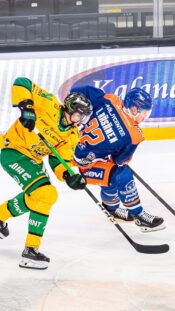 Tapparan Aapeli Räsänen vääntää Ilvestä vastaan keväällä 2026