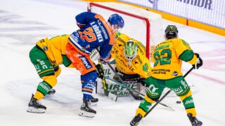 Tappara Ilves