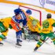 Tappara Ilves