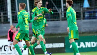 Ilves