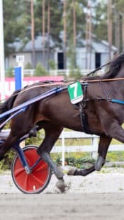 Nov 18, 2024; Philadelphia, Pennsylvania, USA; Philadelphia Flyers defenseman Rasmus Ristolainen (55) against the Colorado Avalanche at Wells Fargo Center. Mandatory Credit: Eric Hartline-Imagn Images