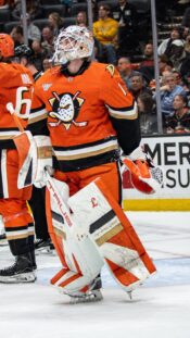 Anaheim Ducks, NHL