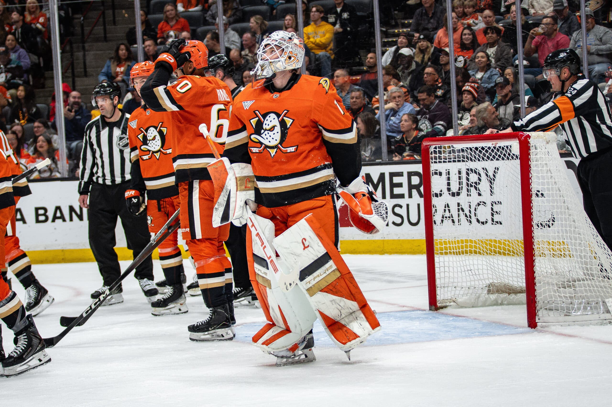 Anaheim Ducks, NHL