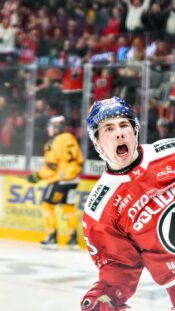 Joachim Blichfeld juhlii maalia Hämeenlinnassa