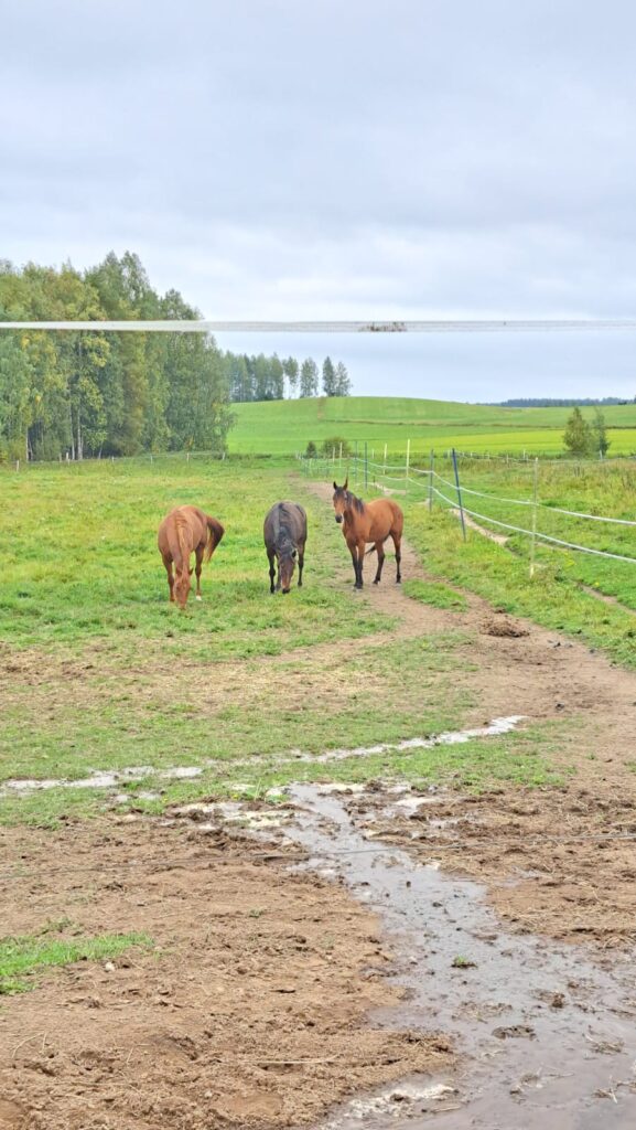 Better Boss, Amazing Warrior Look Complete