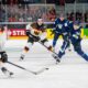Leijonat Saksa