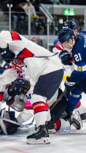 Britannia Leijonat