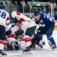 Britannia Leijonat