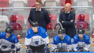 Viro jääkiekko Petri Skriko