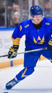 Ukraina jääkiekko
