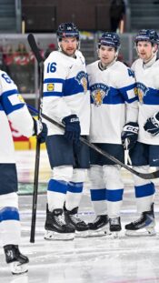 Leijonat