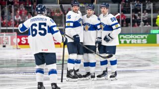 Leijonat