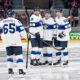 Leijonat