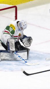 Matthew Tkachuk Unkari
