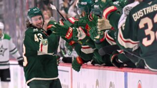 Quinn Hughes, Minnesota Wild