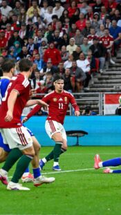 Huuhkajat Unkari