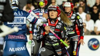 Annika Linna Porin Pesäkarhut